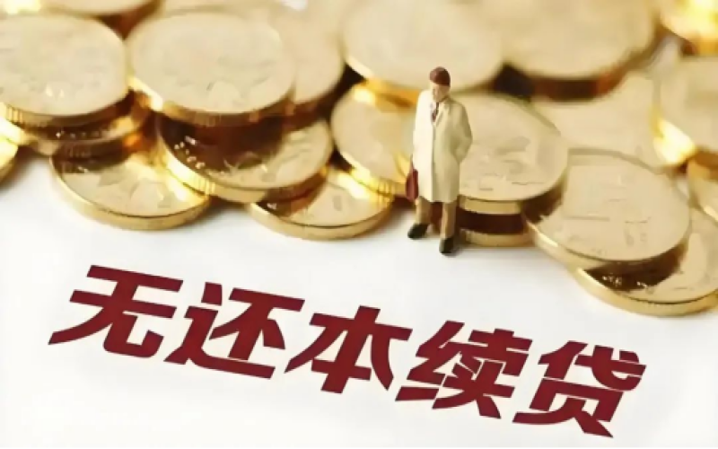 ​无还本续贷是借新还旧吗？&mdash;&mdash;小心担保人脱保的风险！