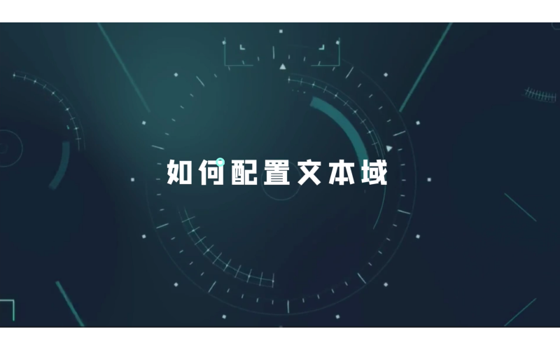 如何配置文本域