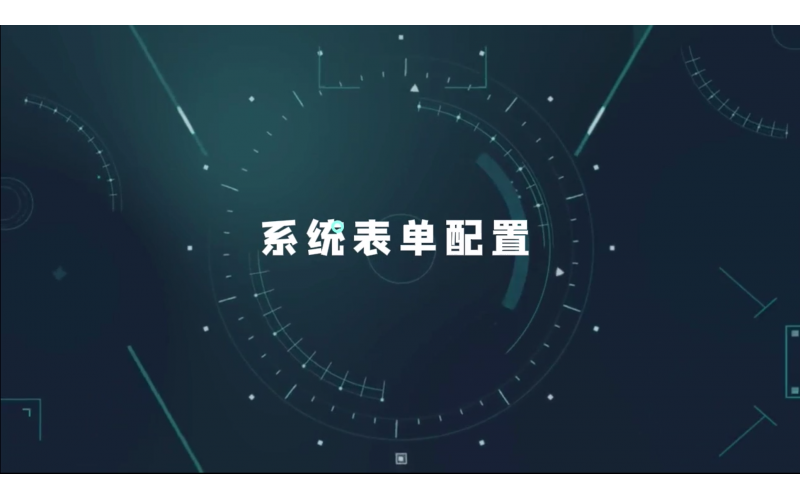 系统表单配置